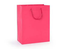 Load image into Gallery viewer, Matte Paper Cord Handle Gift Bags: Aqua Matte / 100 Pack / Cub 8x4x10"