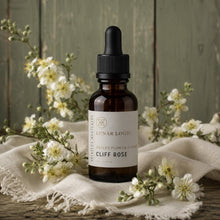 Load image into Gallery viewer, CLIFF ROSE / Flower Essence for Manifestation: 1oz Glass Bottle with Glass Pipette