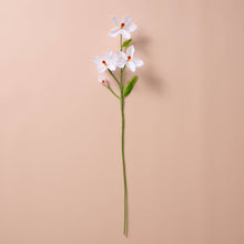 Load image into Gallery viewer, Silk Paper Paperwhite Flowers -White