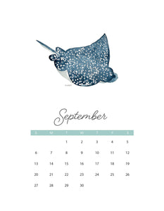 2026 Watercolor Coastal Creatures wall calendar