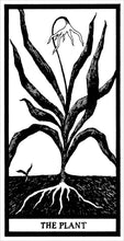 Load image into Gallery viewer, The Fantod Pack by Edward Gorey