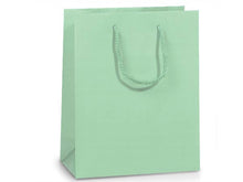 Load image into Gallery viewer, Matte Paper Cord Handle Gift Bags: Aqua Matte / 100 Pack / Cub 8x4x10"
