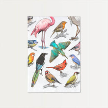 Load image into Gallery viewer, Bird Menagerie Flour Sack Towel - SALE!