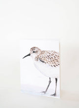 Load image into Gallery viewer, &quot;Sandpiper Crop&quot; Watercolor Coastal Bird Greeting Card
