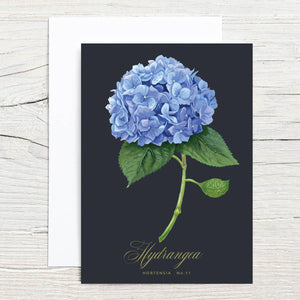 Hydrangea Specimen 5x7 Single Notecard