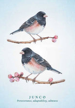 Load image into Gallery viewer, Spiritual Meaning of Birds Oracle Deck by Arin Murphy-Hiscock: Flashcards; 50 pages / English