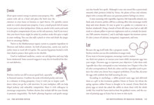Load image into Gallery viewer, Kitchen Witch by Skye Alexander: Hardcover; 288 pages / English