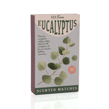 Load image into Gallery viewer, Eucalyptus Scented Matches, Long (3.78")