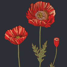 Load image into Gallery viewer, Poppy Specimen 5x7 Single Notecard