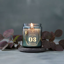 Load image into Gallery viewer, Alchemy Candles – Scented Beeswax – Autumn Collection 7oz: Vanilla + Amyris