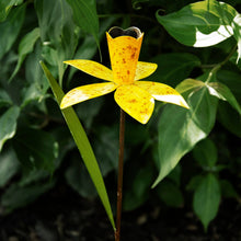 Load image into Gallery viewer, Daffodil Garden Pick