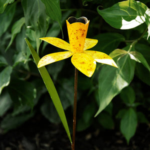 Daffodil Garden Pick
