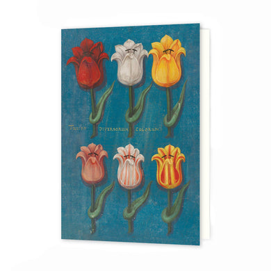 Greetings Card - Festival of Flowers Blue