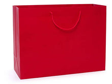 Load image into Gallery viewer, Matte Paper Cord Handle Gift Bags: Aqua Matte / 100 Pack / Cub 8x4x10"