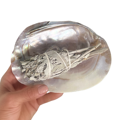 Pearl Shell Dish  |  Sage Smudge Bowl
