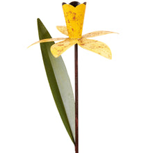 Load image into Gallery viewer, Daffodil Garden Pick