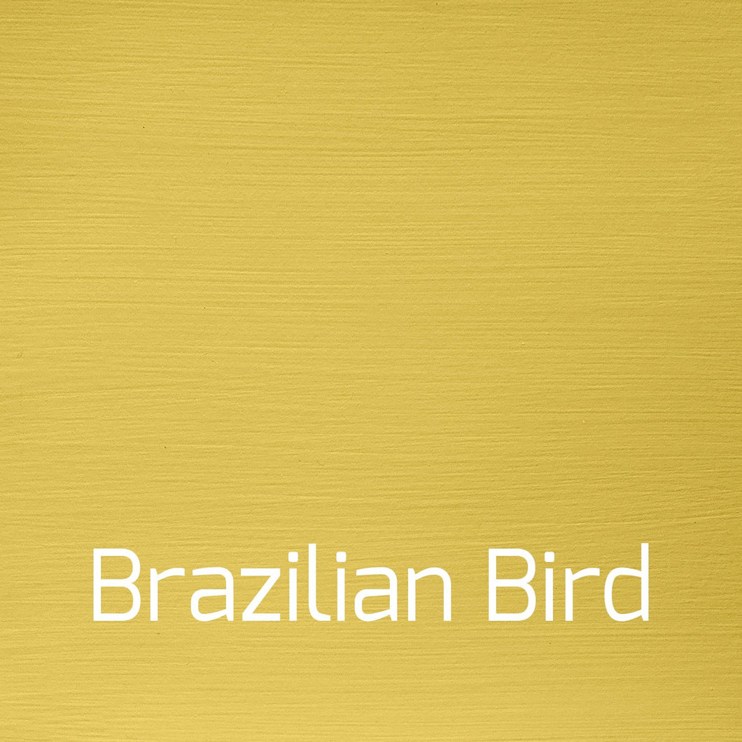 Brazilian Bird, Vintage