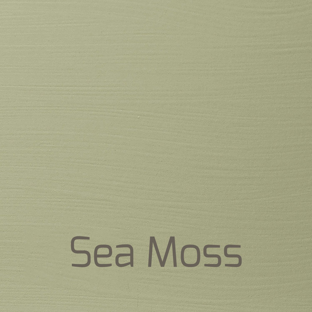 Sea Moss, Vintage